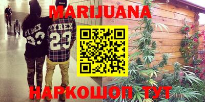 молекула духа Новодвинск