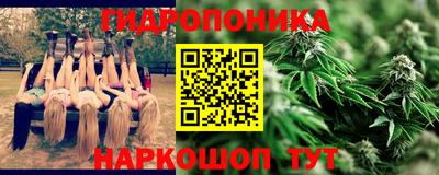 молекула духа Новодвинск