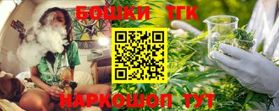 бошки Новозыбков