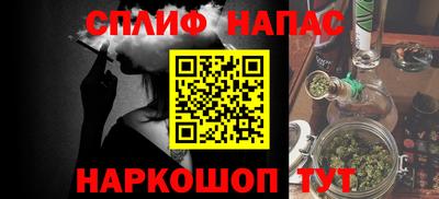 шишки Новокубанск