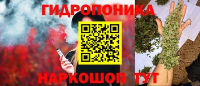 молекула духа Новодвинск