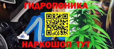 шишки Новокубанск