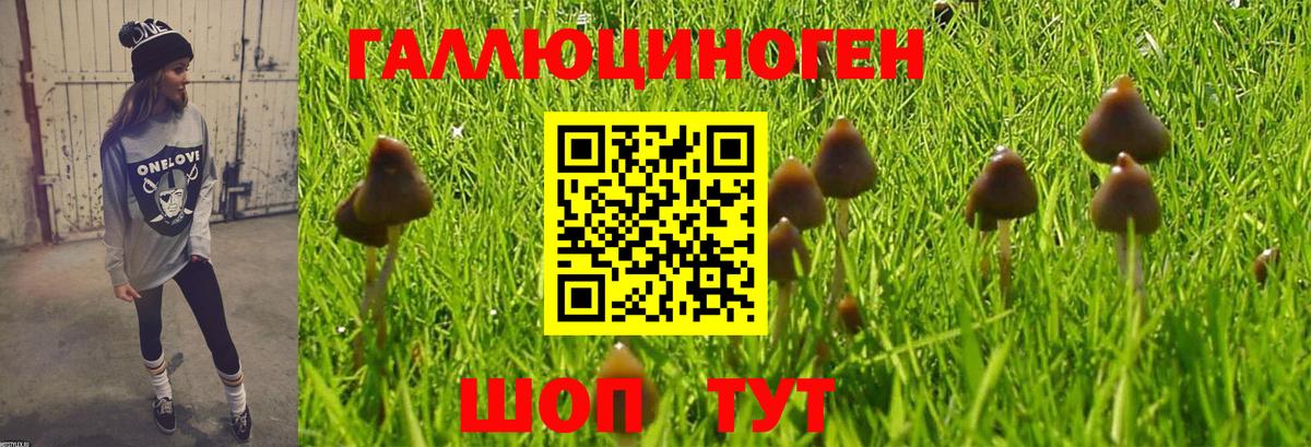 Галлюциногенные грибы Cubensis Тулун
