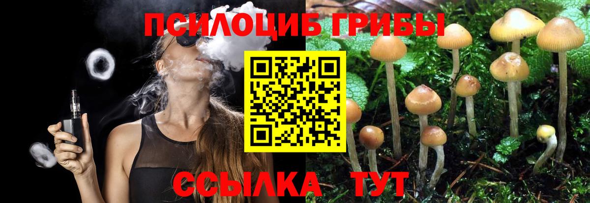 Тулун  Галлюциногенные грибы мицелий  Вход с VPN 